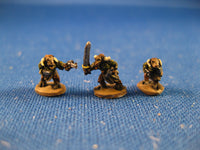 Beastkin Raiders
